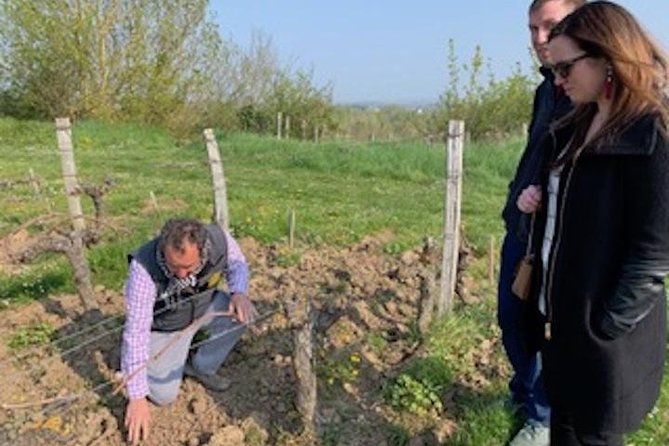 English Speaking Loire Winery Tours originating from Chinon - Half-Day Option: Two Vineyards and 10+ Wine Tastings