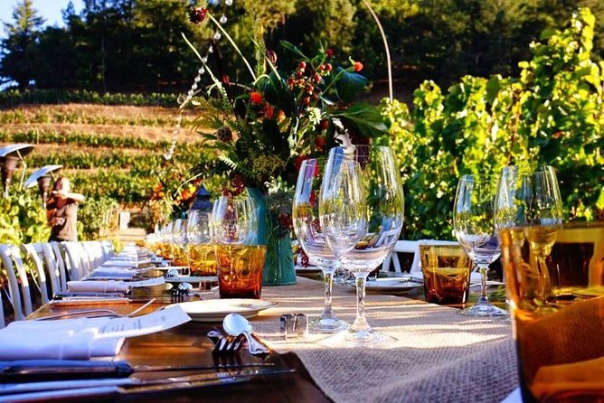 Enjoy a meal with wine tasting in the vineyard of Podere Casanova - Arriving at Podere Casanova: the Montepulciano vineyard vibe