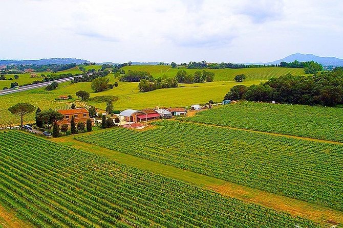 Enjoy a meal with wine tasting in the vineyard of Podere Casanova - Vineyard lunch or dinner with wine tasting: the “one experience” approach