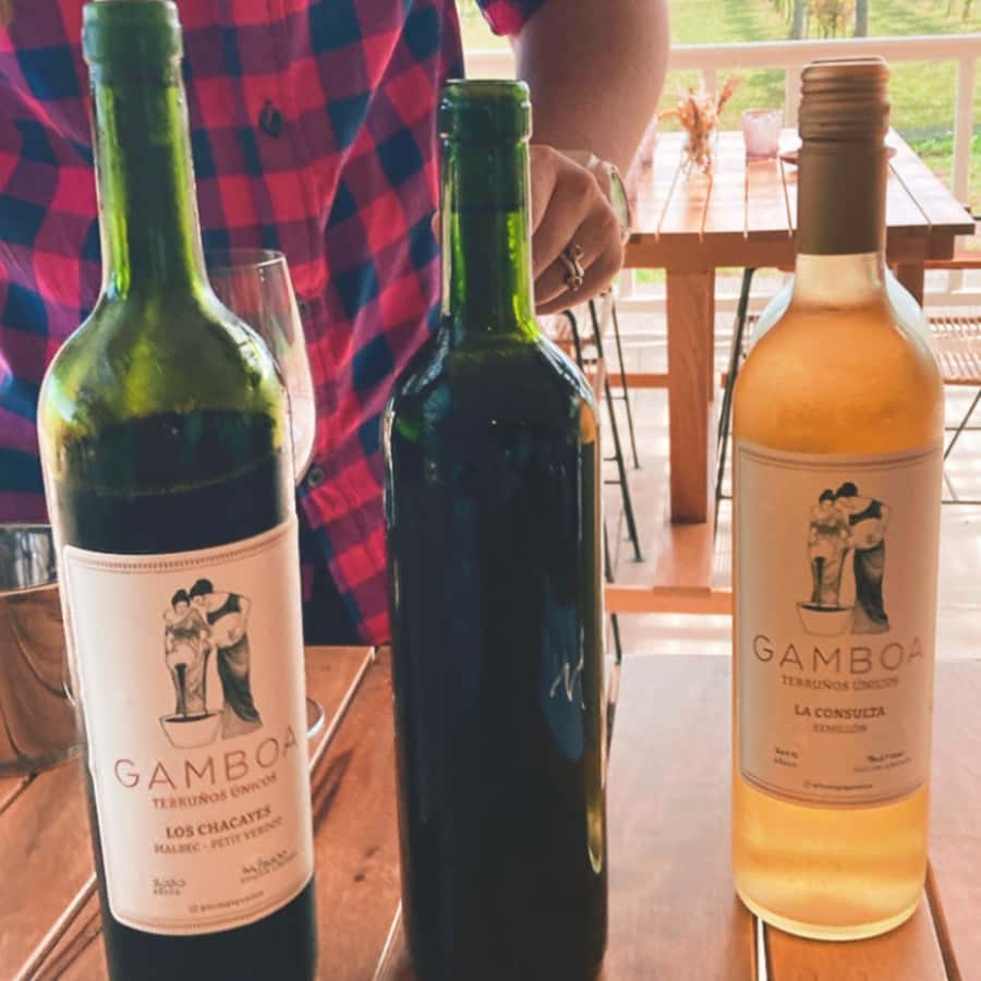 Enjoy a Rural Experience in a Vineyard near Buenos Aires - Casa Gamboa in Campana: a rural reset from Buenos Aires