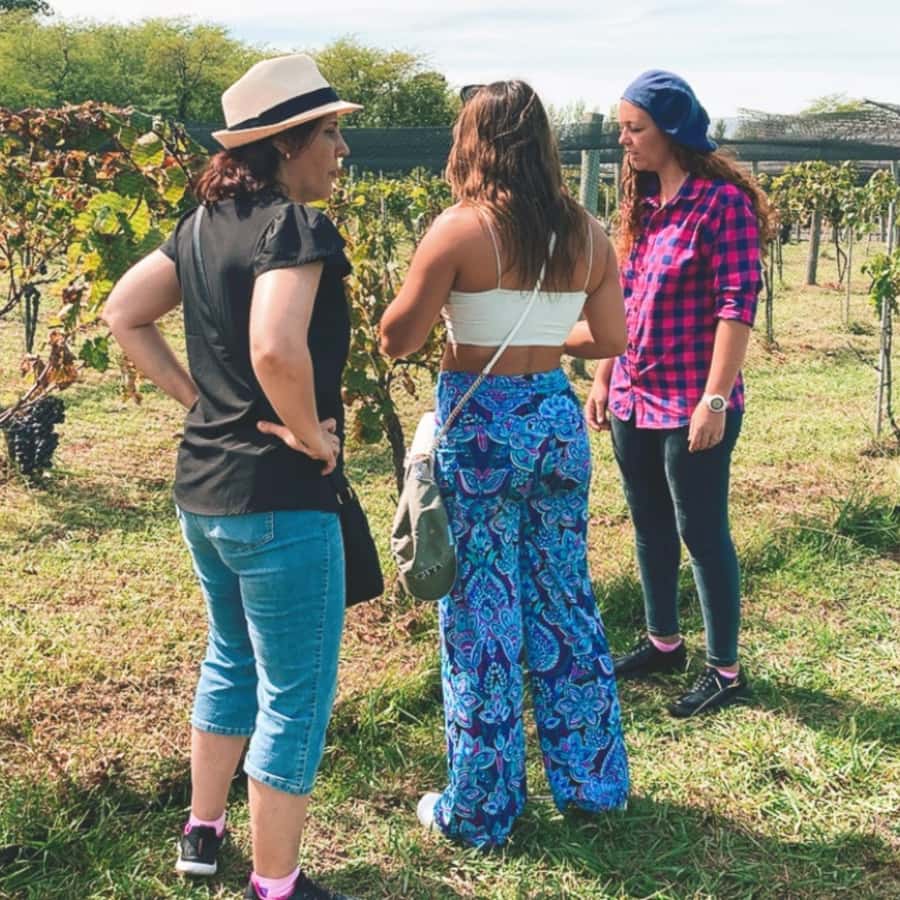 Enjoy a Rural Experience in a Vineyard near Buenos Aires - Should you book Casa Gamboa?