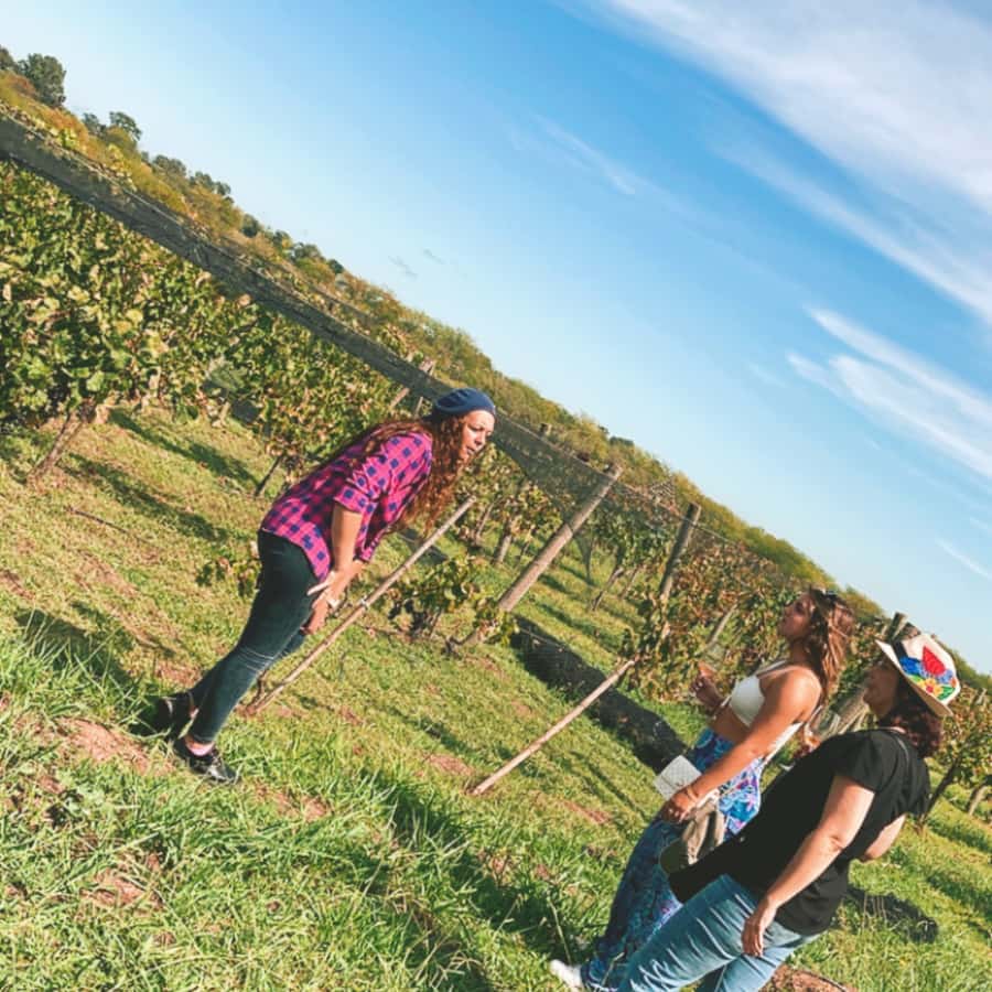 Enjoy a Rural Experience in a Vineyard near Buenos Aires - Entering the vineyard: the guided tour that explains the process