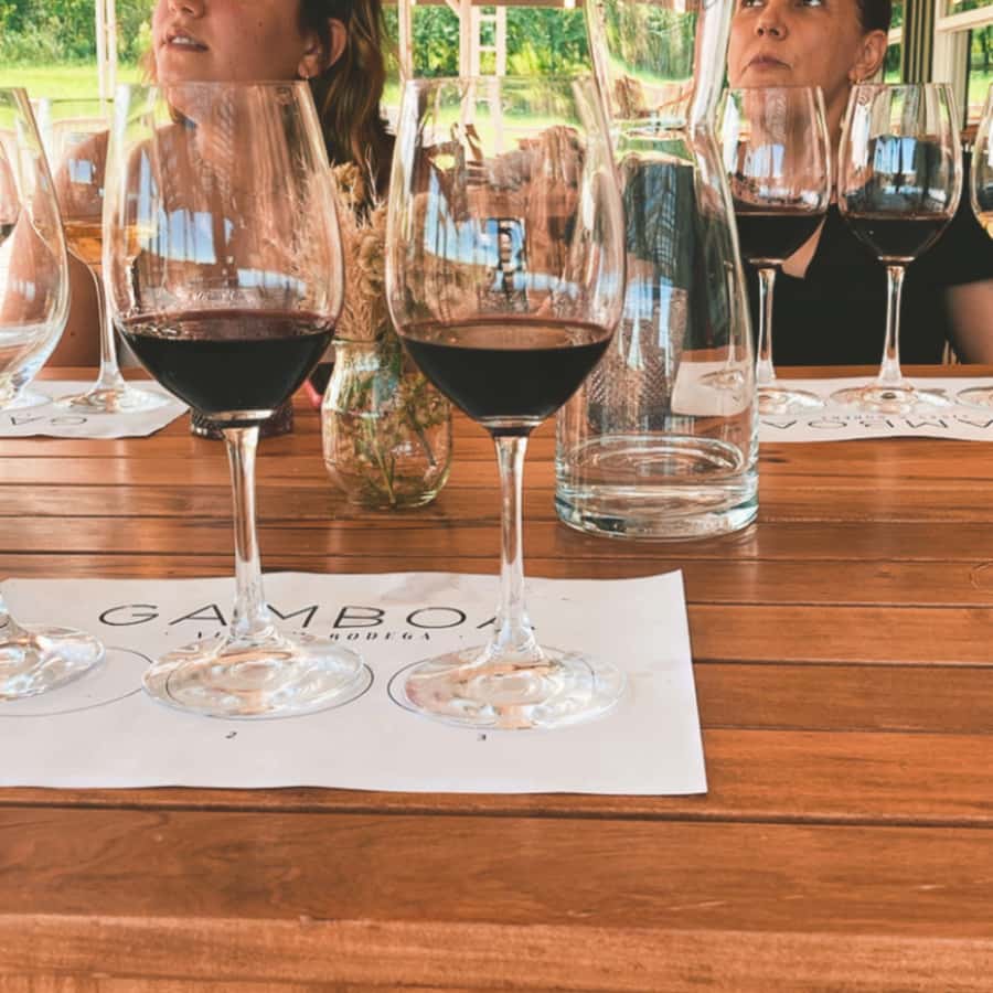 Enjoy a Rural Experience in a Vineyard near Buenos Aires - The 4-course countryside lunch: what’s included and why it’s more than a meal