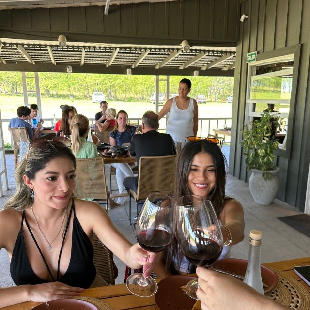 Enjoy a Rural Experience in a Vineyard near Buenos Aires - Heat, comfort, and the small realities of a vineyard day