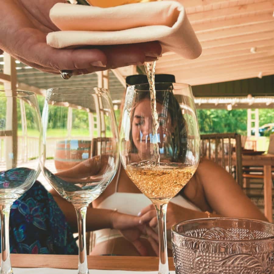 Enjoy a Rural Experience in a Vineyard near Buenos Aires - Best for: who should book this vineyard experience