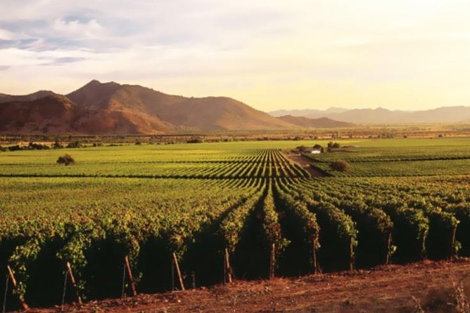 Ensenada Shore Excursion: Entre Santos and El Cielo Winery Tours with Lunch - Key Points You Should Know Before You Go