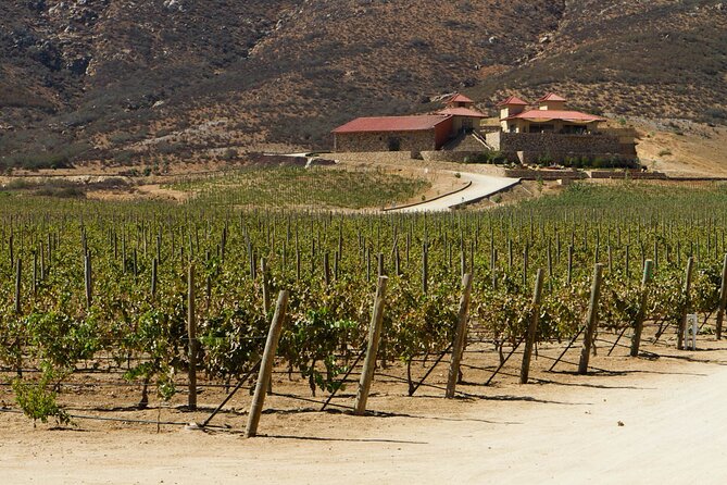 Ensenada Shore Excursion: Entre Santos and El Cielo Winery Tours with Lunch - Lunch at the Winery: What It’s Supposed to Be and What to Confirm