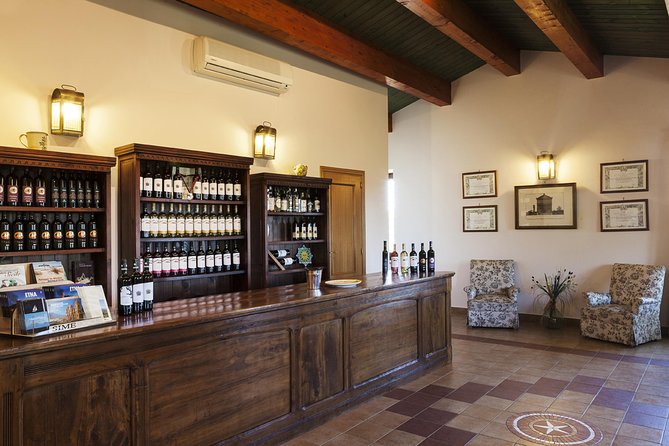 Etna DOC & Organic Wine tasting and tour of the 1815 historic winery - Practical Details That Affect Your Day