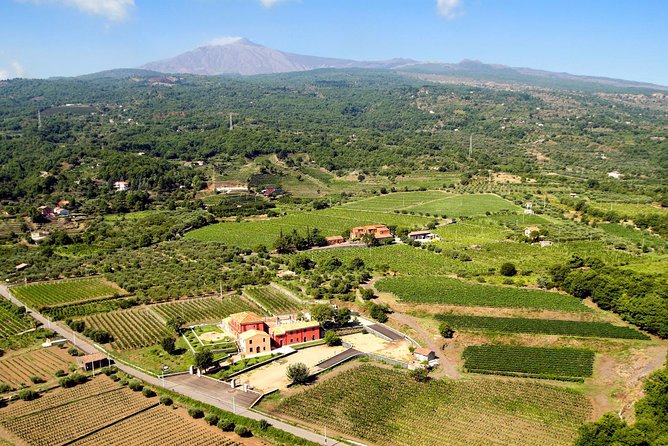 Etna DOC & Organic Wine tasting and tour of the 1815 historic winery - FAQ
