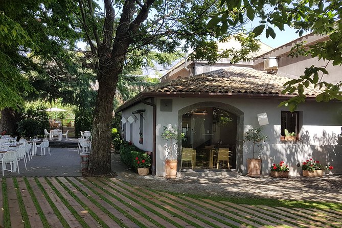 Etna Easy & Winery from Messina, Catania or Taormina/G. Naxos - Cantine Murgo: a farmhouse cellar visit designed for wine time