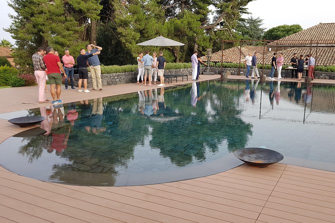 Etna Easy & Winery from Messina, Catania or Taormina/G. Naxos - Should you book this private Etna & Cantine Murgo day?