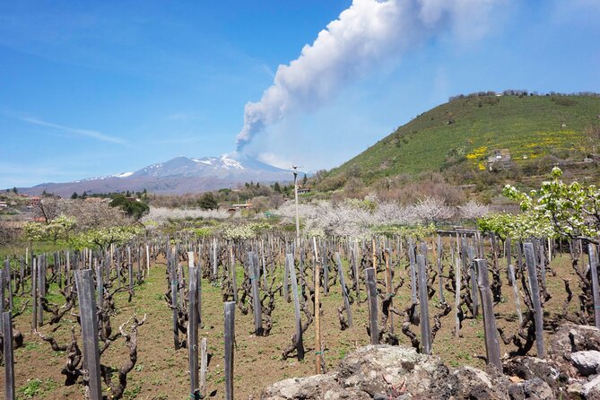 Etna Private tour from Messina Cruise Terminal + Lunch at Winery - Time management: why this 6–8 hour structure works from a cruise port