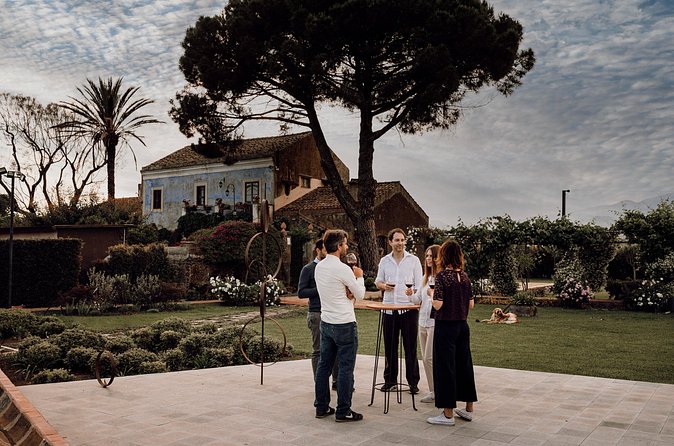 Etna Urban Winery - Sunset vineyard Walk and Tasting Dinner - Price and value: why $78.44 can make sense here