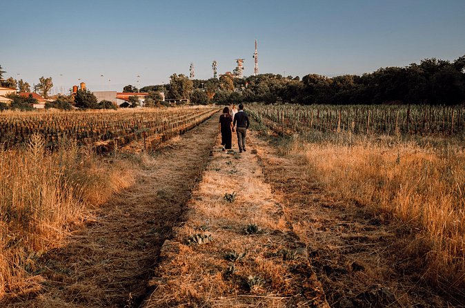Etna Urban Winery - Sunset vineyard Walk and Tasting Dinner - Who should book this sunset walk and tasting dinner