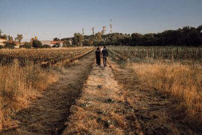 Etna Urban Winery, Vineyard Walk & Sunset Tasting Dinner - The 1790 Palmento: where old Sicilian winemaking still makes sense