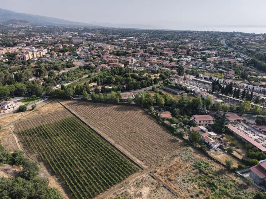 Etna Urban Winery, Vineyard Walk & Sunset Tasting Dinner - Your guide matters: Angela, Vera, and clear English
