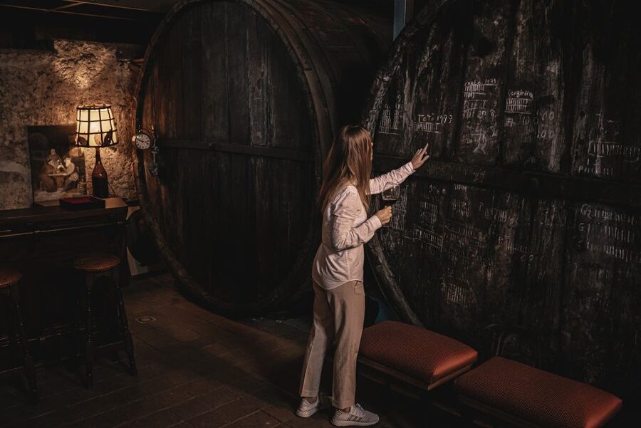 Etna: Urban Winery, Vineyards Walk & Wine Tasting at Sunset - Urban Vineyards Between Catania and Mount Etna