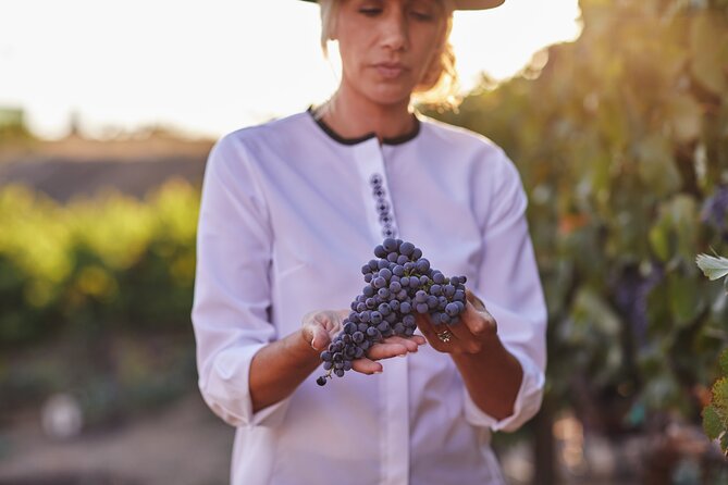 Europa Village Winery Tour including 8 Tastings & 3 Food Pairings - Key Highlights You’ll Actually Feel