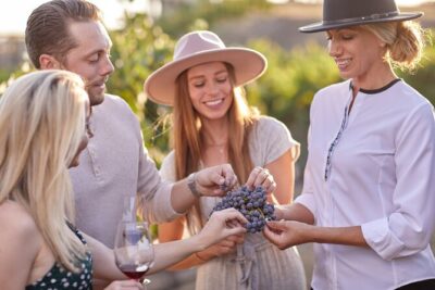 Europa Village Winery Tour including 8 Tastings & 3 Food Pairings - The 8 Tastings: How They’re Structured and Why It Helps