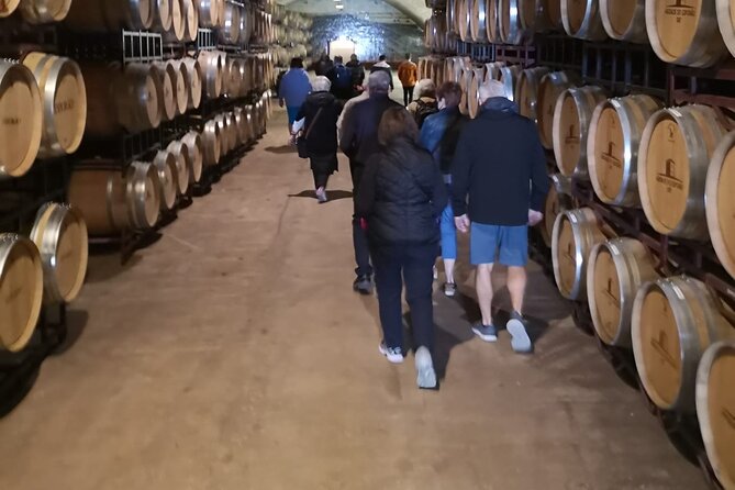 Évora Private Tour - Cork Factory and Wine Estate Included - Cartuxa wine estate: included tasting at one of Alentejo’s anchors