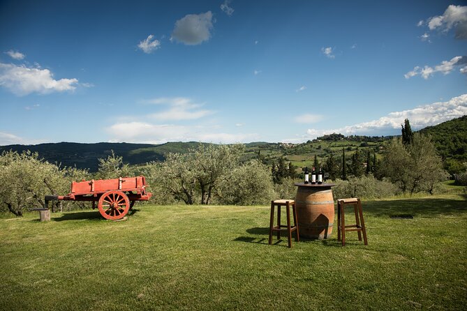 Exclusive lunch, Winery tour, Organic wines in Chianti Classico - Panzanello Winery: Chianti Classico Views and a Private Welcome