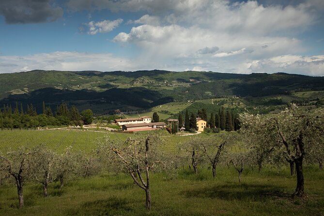 Exclusive lunch, Winery tour, Organic wines in Chianti Classico - Timing, Duration, and How to Fit It Around Florence
