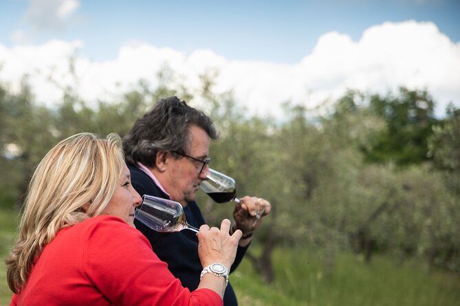 Exclusive lunch, Winery tour, Organic wines in Chianti Classico - Should You Book Panzanello for an Exclusive Chianti Lunch?