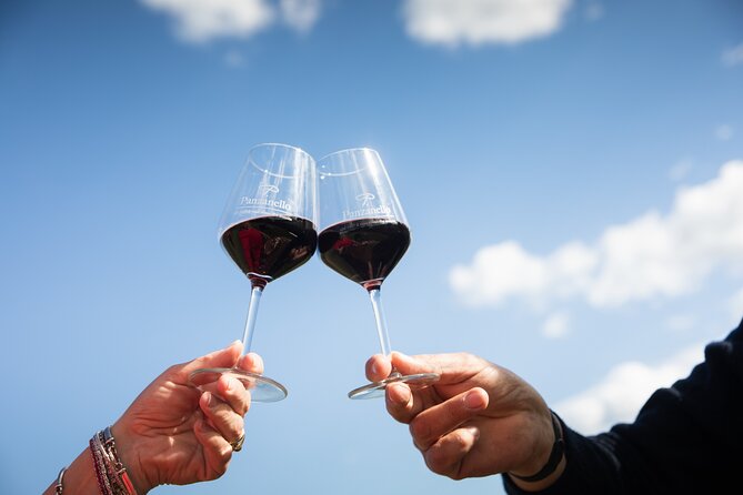Exclusive lunch, Winery tour, Organic wines in Chianti Classico - FAQ