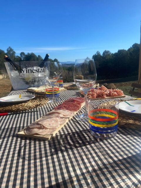 Exclusive Penedes wine tour & brunch in the vineyard - Key Points Before You Go