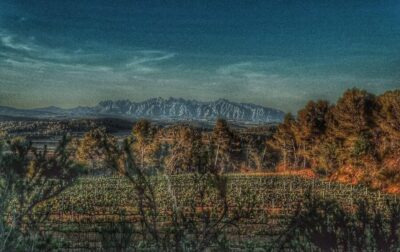 Exclusive Penedes wine tour & brunch in the vineyard - From Sant Sadurni Train Station to the Vines: How the Morning Starts