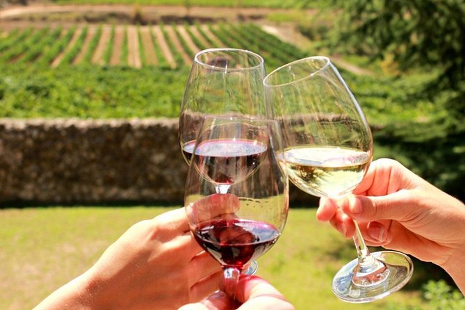 Exclusive Private Tuk-Tuk Tour: Visit to a Sardinian Winery - Key points before you go