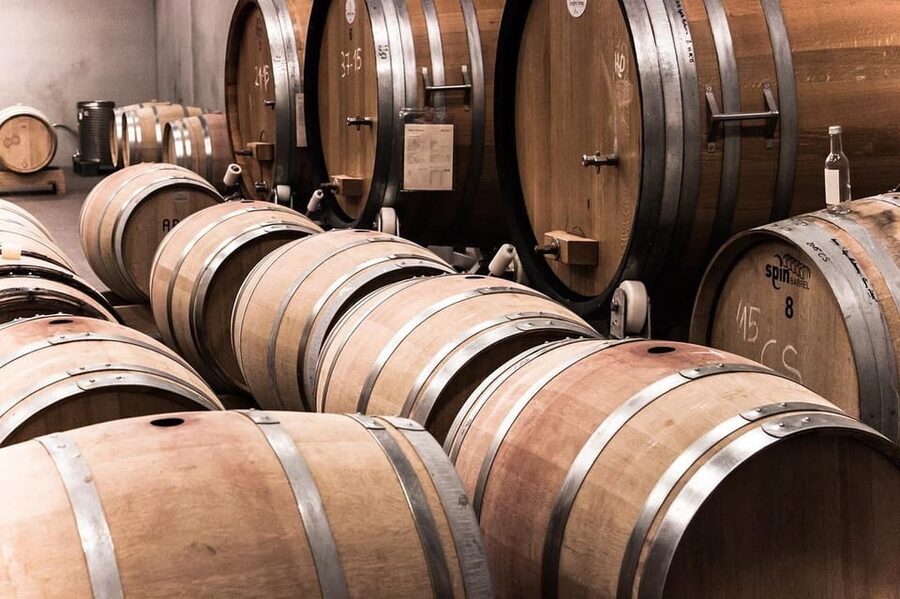 Exclusive Wine Tour: Sardinian Winery + Round-Trip Transfer - Pairing the sip: local produce, cheese, and bites