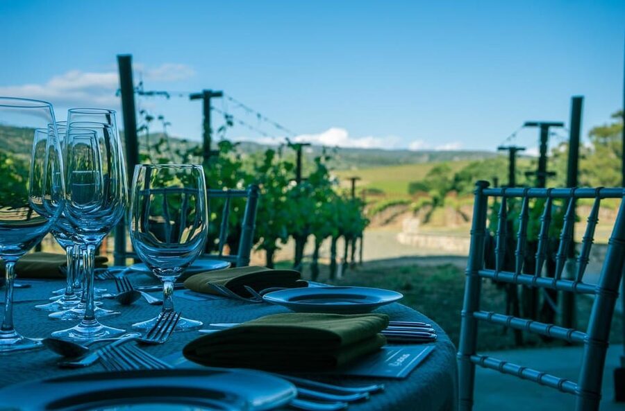 Exclusive Wine Tour: Sardinian Winery + Round-Trip Transfer - Transport and timing: tuk-tuk vibes, but confirm the schedule