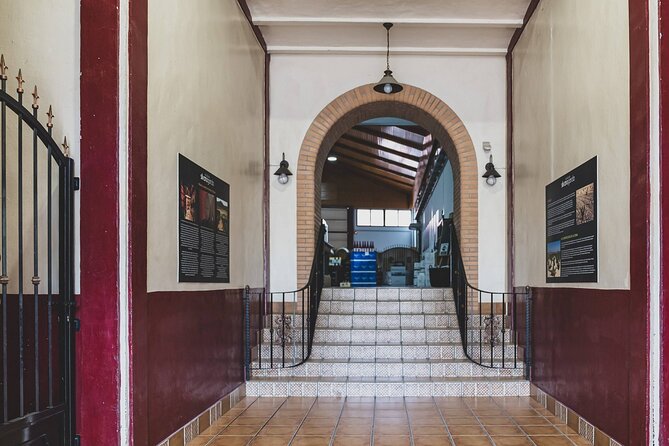 Explore an urban winery and enjoy a Jumilla wine tasting - Meeting at 11:30 in Jumilla: what that means for your day