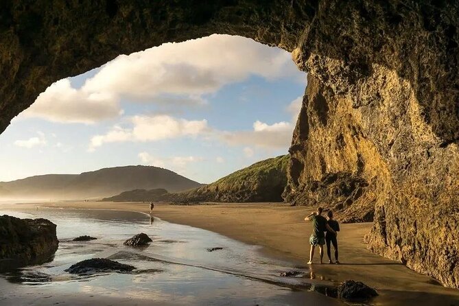 Explore West Auckland with Winery - Key Highlights You’ll Actually Feel