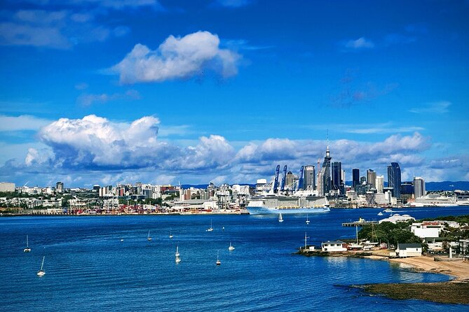 Explore West Auckland with Winery - Who This Trip Fits Best (And Who Might Not Enjoy It)