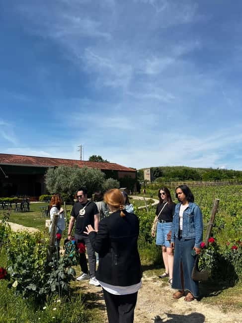 Familia Torres Winery: Gastronomic Tapas & Wine Experience - Who this Familia Torres tapas and wine experience suits best