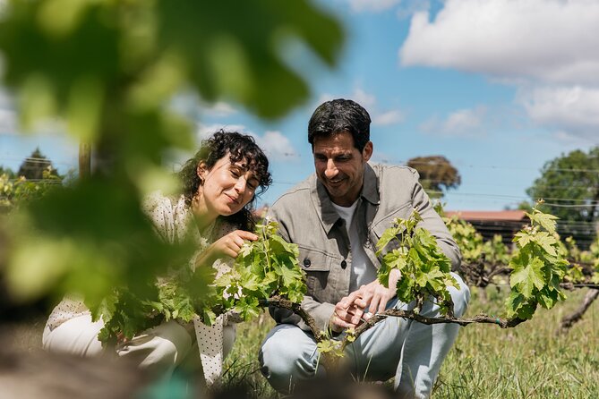 Familia Torres Winery: Gastronomic Tapas & Wine Experience - Getting to Estació del Nord and Out to Penedès (Without Hassle)