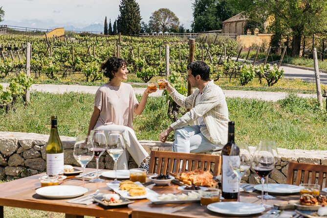 Familia Torres Winery: Gastronomic Tapas & Wine Experience - Stop 3: Gourmet Catalan Brunch and Guided Four-Wine Tasting