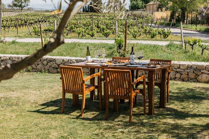 Familia Torres Winery: Gastronomic Tapas & Wine Experience - Price and Value: What You’re Really Paying For