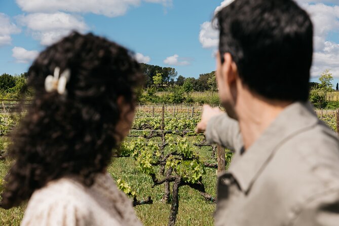Familia Torres Winery: Gastronomic Tapas & Wine Experience - Group Size and the Personal Feel