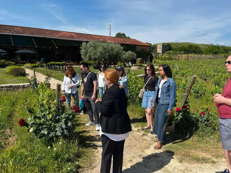 Familia Torres Winery: Gastronomic Tapas & Wine Experience - Price and value: what $147 per person is buying you