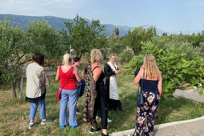 Family-run Vineyard Tour & Award Winning Wine Tasting/Delicacies - Bijaći to Kaštela: why the setting matters