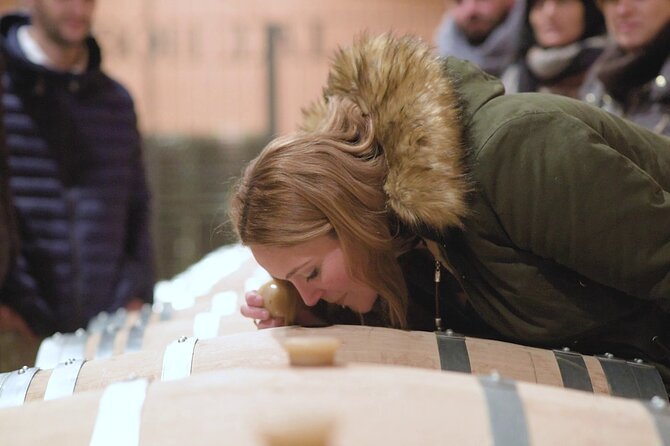 Family winery visit with food - The guided winery tour: Bohedal, Gran Bohedal, and Hebabe explained