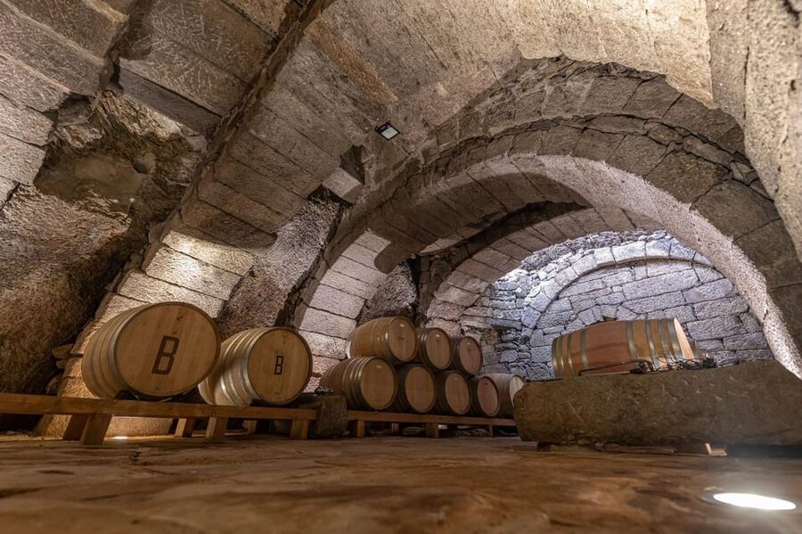 Fermoselle; Visit to the Historical Winery with Wine Tasting - Fermoselle first: cobblestones, Arribes views, and a winery with stories