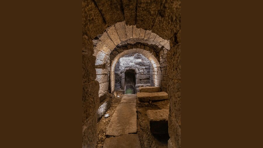 Fermoselle; Visit to the Historical Winery with Wine Tasting - Who should book this and who might pass