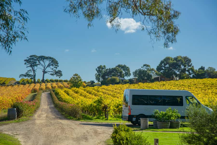 Fleurieu Peninsular: McLaren Vale Winery Experience - McLaren Vale works as a day trip because it’s close and characterful