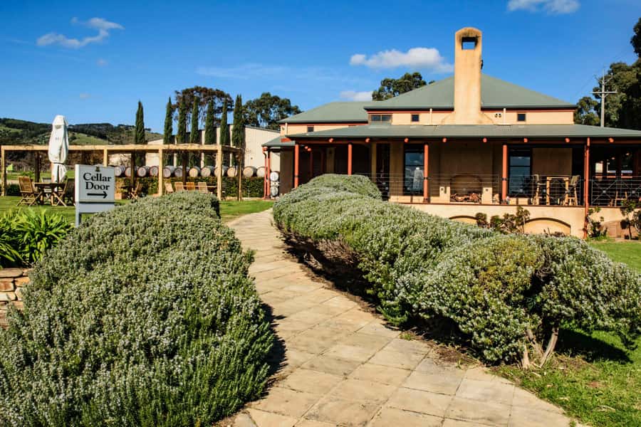 Fleurieu Peninsular: McLaren Vale Winery Experience - Lunch at a winery: the platter strategy works