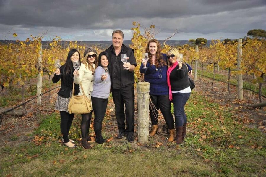 Fleurieu Peninsular: McLaren Vale Winery Experience - Who this tour suits best (and who might want a different day)