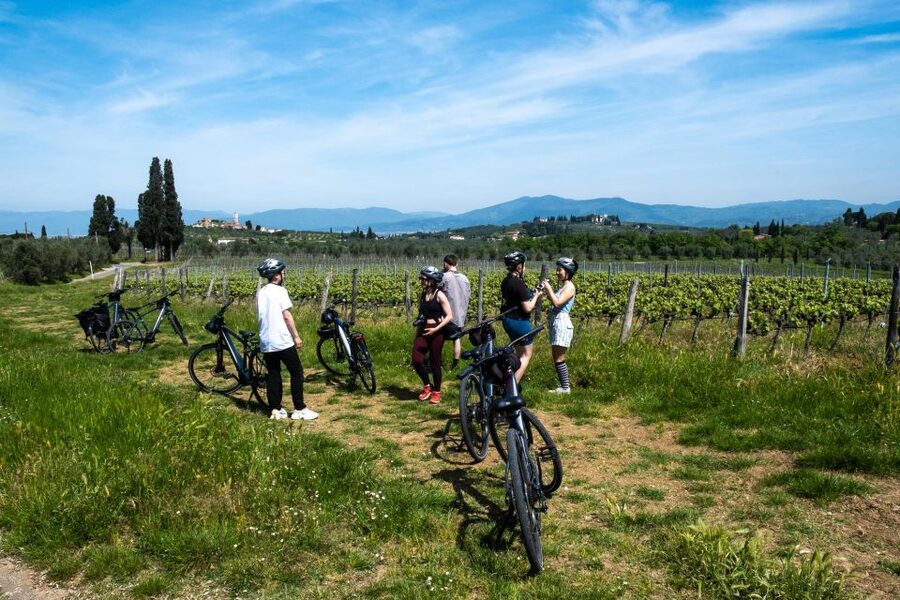 Florence: Chianti E-Bike Tour with Tuscan Lunch & Winery - Wine and olive oil tasting: what to listen for during the explanations